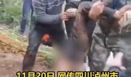 四川老表偷鸡爆料视频,一场啼笑皆非的乡村闹剧