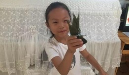 石头妈妈爆料大芳视频,揭秘背后惊人内幕