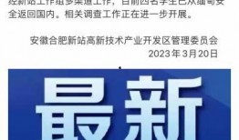 海南新闻爆料媒体网最新消息,最新动态盘点，揭秘岛内热点事件！