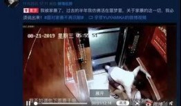 网红被爆料家暴视频,家庭暴力事件引发社会关注
