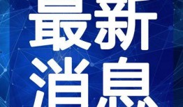 黑天鹅最新爆料视频大全,揭秘不为人知的幕后真相