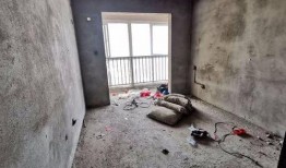 南阳龙锦嘉园最新爆料,揭秘神秘项目背后的惊喜与挑战