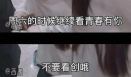 网友牛小姐爆料视频在线观看,揭秘网络热点背后的真相