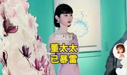 大神爆料董太太视频,揭秘豪门背后的惊人真相