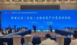 医药高管爆料新闻,揭秘行业黑幕与变革之路