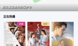 日在线视频观看,流量背后的故事