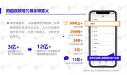 有网友爆料粽子吗视频下载,揭秘网络传播背后的秘密